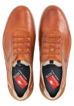 Fluchos Zapato - Zapatos Con Cordones - Marrón -Zapateria Top 75146b30da644aaaaf20908a2de14e01