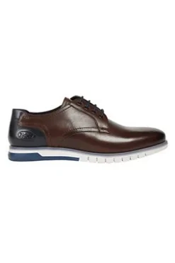 Pod Cillian - Zapatos Con Cordones - Brown