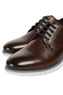 Pod Cillian - Zapatos Con Cordones - Brown -Zapateria Top e13618f161e849c89ee60a246f010270